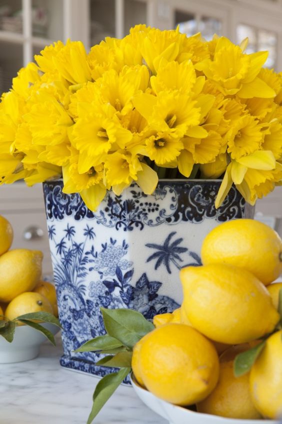 f9269d57aa5d79dd0e33d01acb7095c1