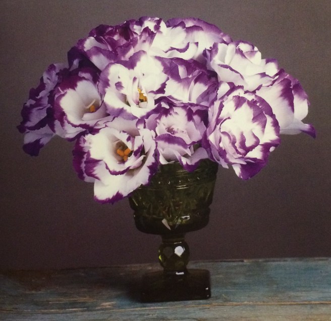 image-02-02-16-10-32-5